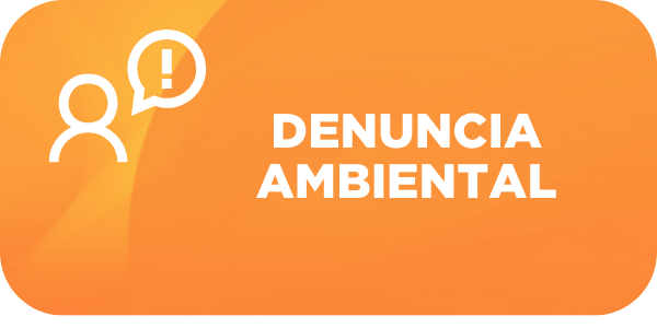 Denuncia ambiental