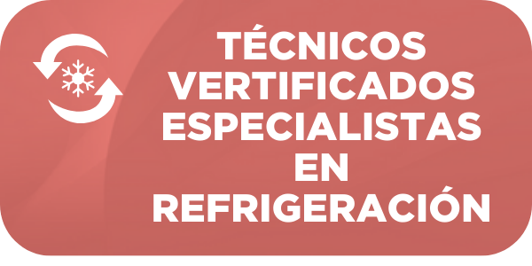 Técnicos verificados